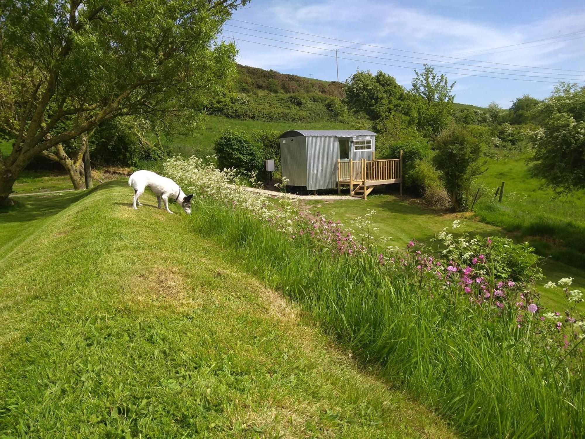 Shepherds Hut Weymouth Bagian luar foto